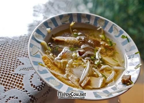 Noodle soup at Vegetarian Thai Orchid in Chiang Mai