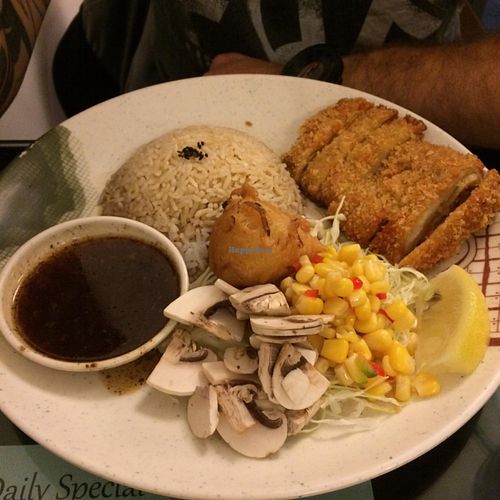 Crispy Hainan style rice at Thea Vegetarian Tea Garden in Adelaide