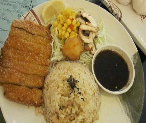 Hainanese Vegetarian Chicken Rice at Thea Vegetarian Tea Garden in Adelaide