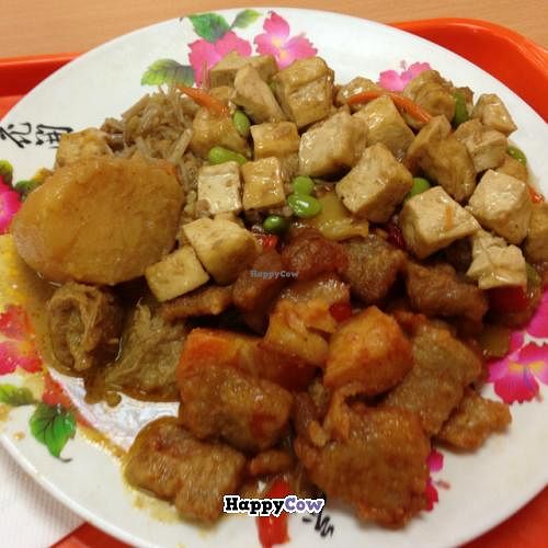 noodles with 3 items.  curry, sweet and sour, and stir fried tofu.  at Pure Vegetarian - Total Vegetarian - Stall in Adelaide