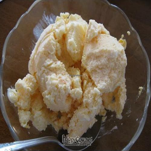 Vegan ice cream at Green Gourmet in Newtown