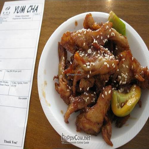 Dim sim at Green Gourmet in Newtown