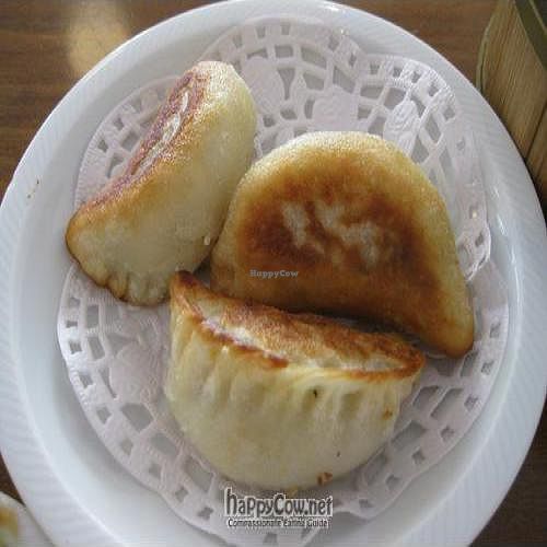 Dim sim at Green Gourmet in Newtown