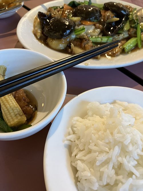 Mushroom stir fry  at Mother Chu's Vegetarian Kitchen in Sydney