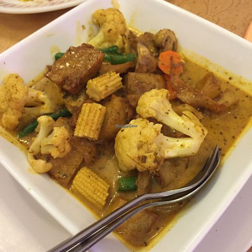 curry at Tian Ci Vegetarian Chinese Restaurant in West Ryde