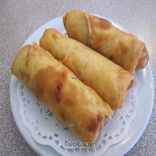 Spring Rolls at Tian Ci Vegetarian Chinese Restaurant in West Ryde