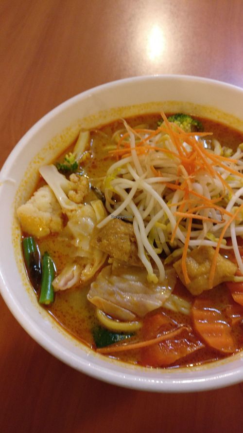 Curry laksa at Fo Guang Yuan in Melbourne