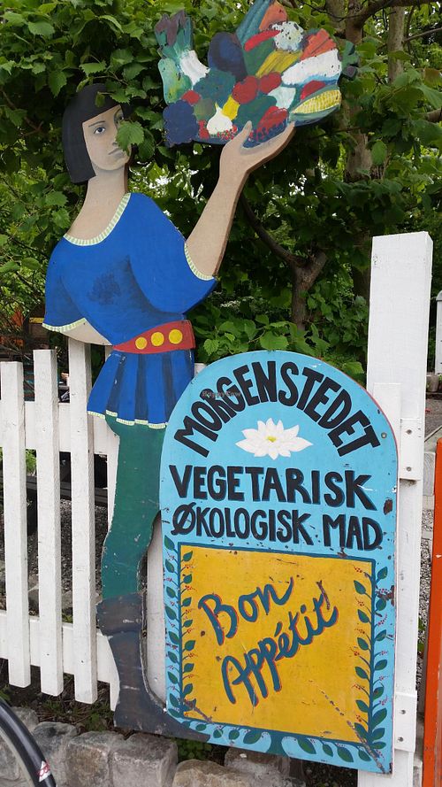 outside1 at Morgenstedet in Copenhagen