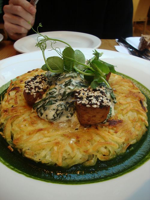 Yum ! at Terre a Terre in Brighton