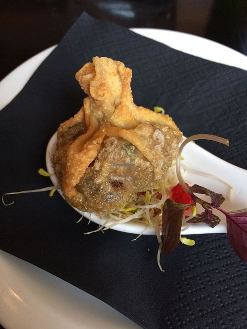 Dumpling at The Gate - Hammersmith in West London