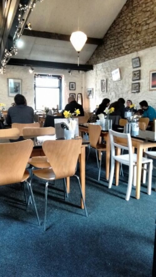 a really nice space at The Whale Tail Cafe in Lancaster