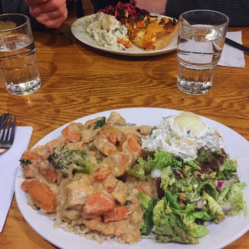 vegan casserole & quiche  at Cornucopia in Dublin