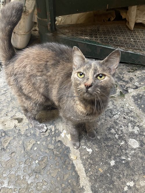   at Amico Bio - Un Sorriso Integrale in Naples