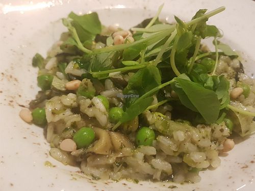 Pesto Risotto at Zizzi in Gateshead