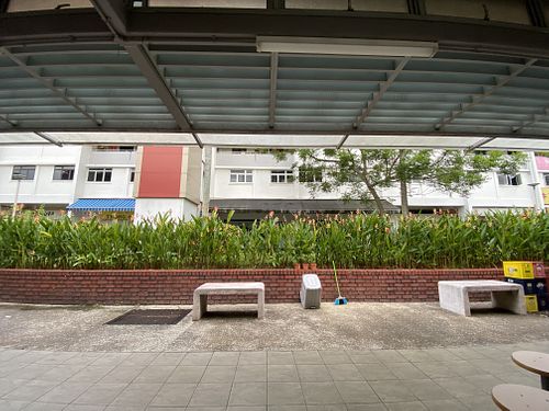 Opposite  at Lucky Vegetarian 宏运素食 in Central Singapore