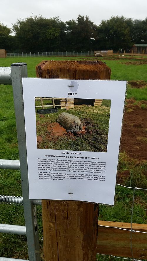 Info at Dean Farm Trust in Shirenewton