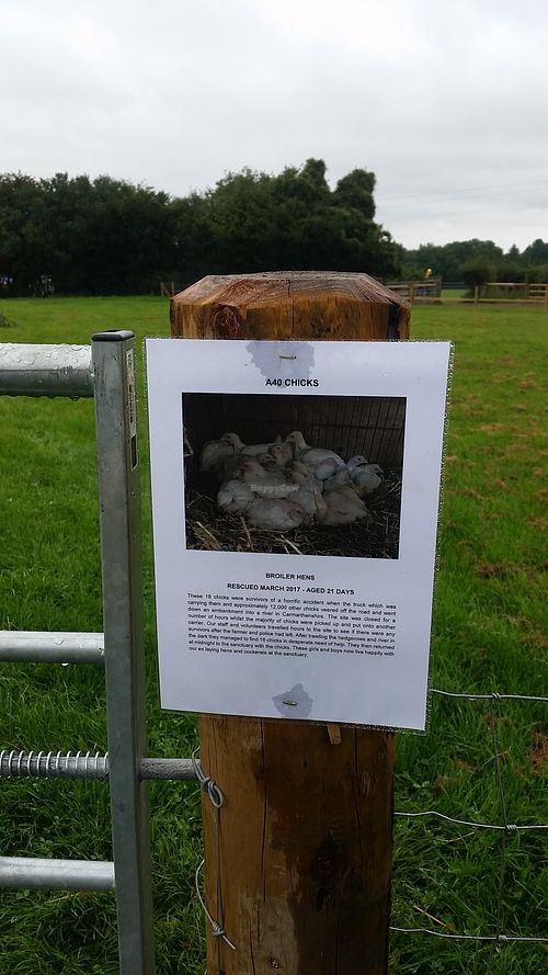 Info at Dean Farm Trust in Shirenewton