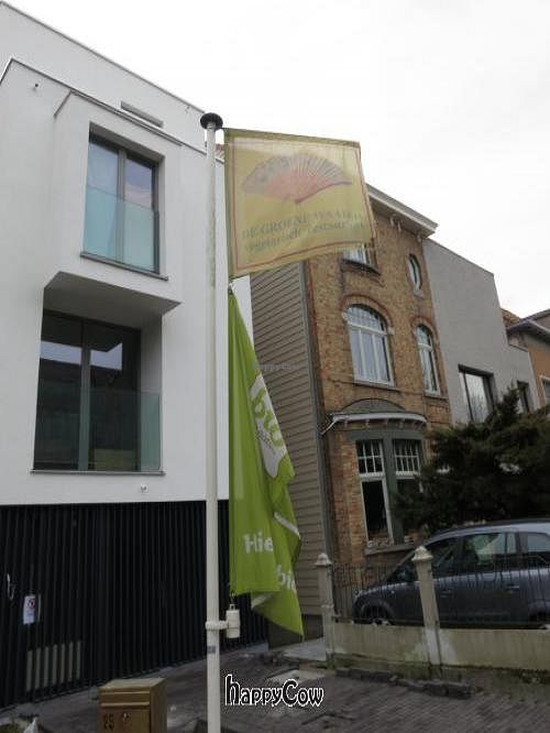 Flags at De Groene Waaier in Ghent