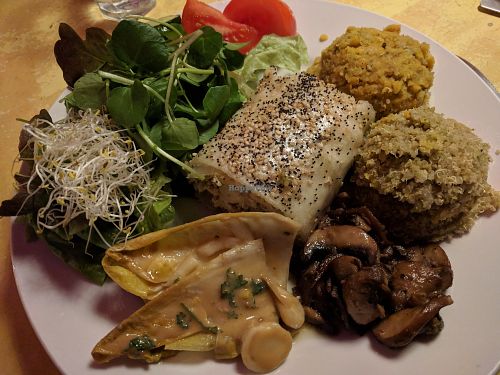 Vegan Plate of the Day - including tofu-sesame strudel etc at Bolhoed in Amsterdam