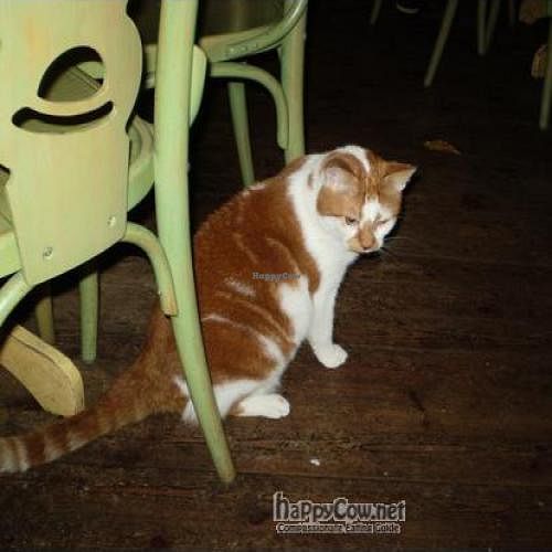 Micky, employee of the month at Bolhoed ;-) at Bolhoed in Amsterdam