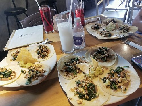 tofu pastor tacos, horchata  at Xcatic in Merida