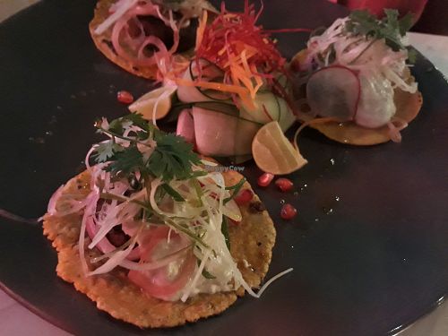 Vegan Falafel Tacos at Rustic & Blue in Chiang Mai