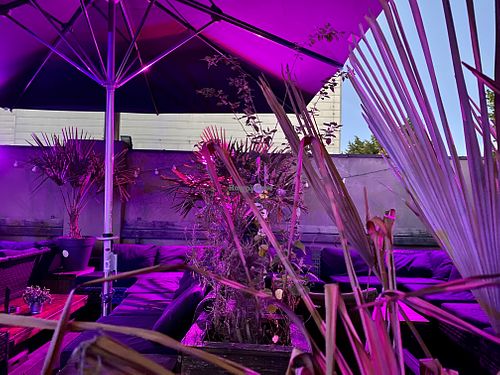 rooftop at Bidges & Sons Reeperbahn in Hamburg