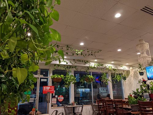  at Veggie House in Salt Lake City