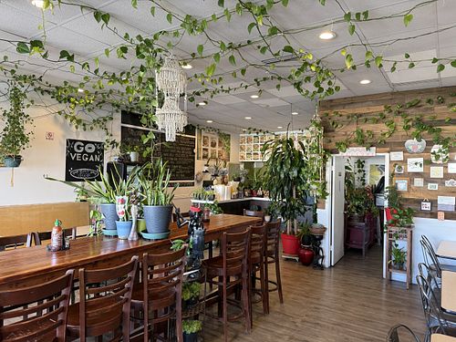   at Veggie House in Salt Lake City