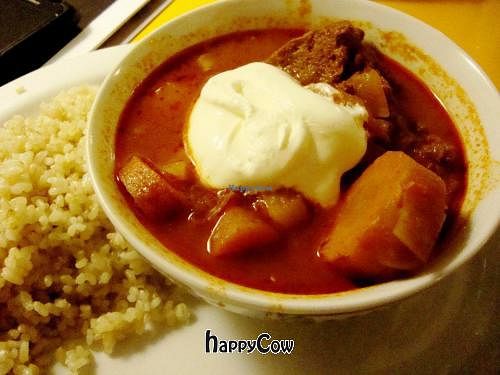 Vegan goulash with rice at De Vliegende Schotel - The Flying Saucer in Amsterdam