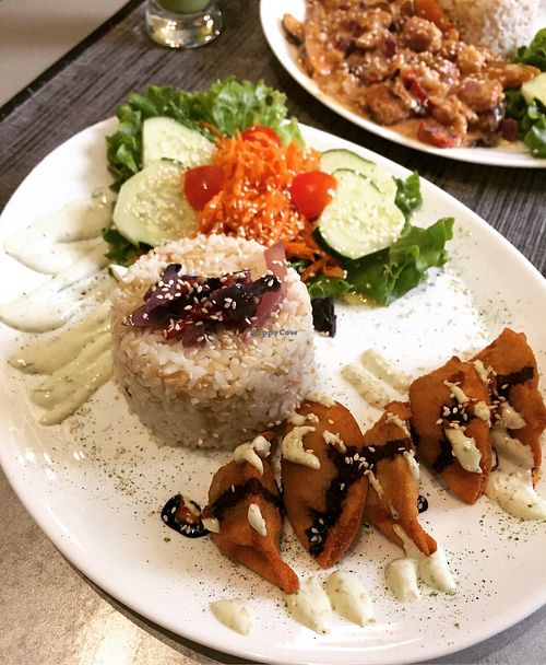 gyoza plate at Coraçao Vegano in Funchal