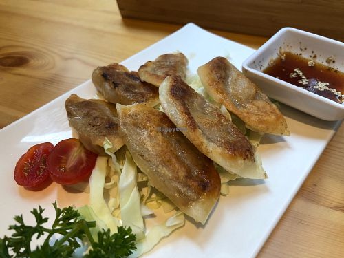 Omnipork Gyoza at Green Common - The Forest in Kowloon