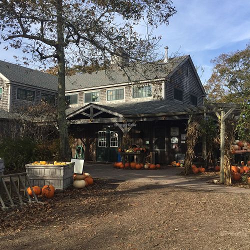 Front at Morning Glory Farm in Edgartown