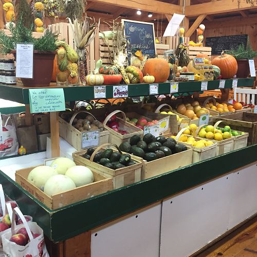 Avos at Morning Glory Farm in Edgartown