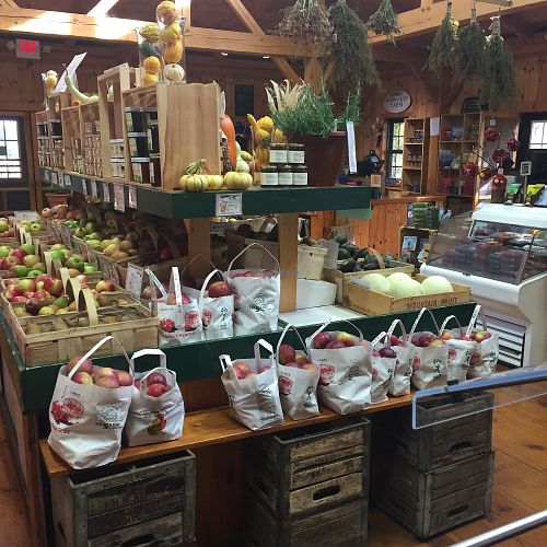 Apples at Morning Glory Farm in Edgartown