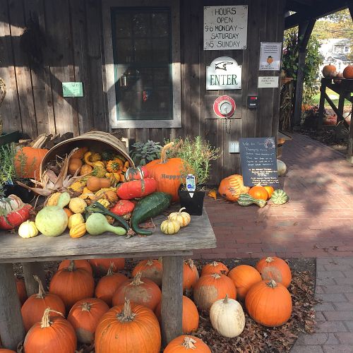 Hours & entrance at Morning Glory Farm in Edgartown