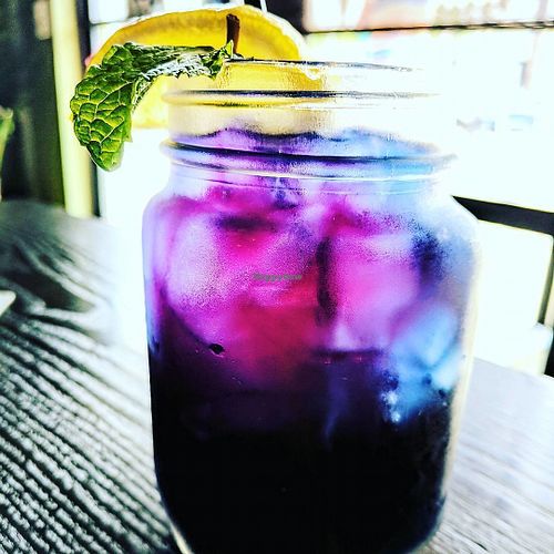 Butterfly Pea Tea at Thai Blvd Bistro in Canoga Park