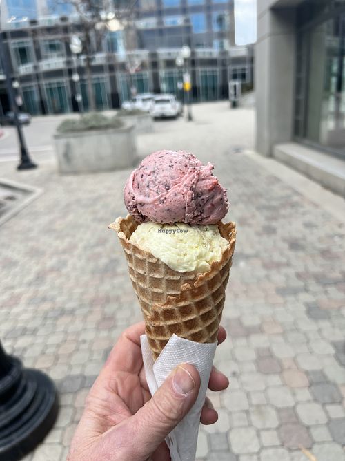 Lemon bar and cherry chip in a waffle cone  at Monkeywrench in Salt Lake City