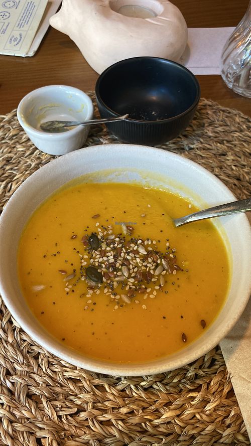 The menu includes a starter and soup (very creamy and delicious)  at O Porto dos Gatos in Porto