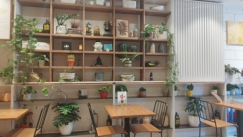  at Avocado in Barcelona