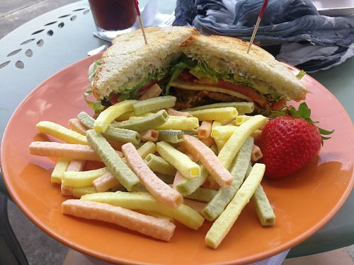 Wildflower Ice Cream St Petersburg - Hcmp101551 559598 