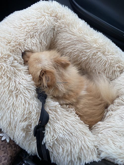   at Deli de Luca in Trondheim