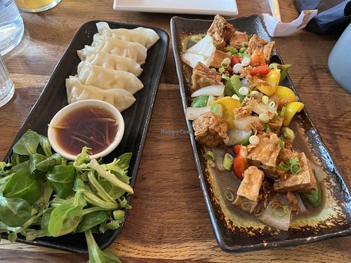 Gyoza and chippy sauce bean curd (tofu)  at Wee Buddha in Edinburgh
