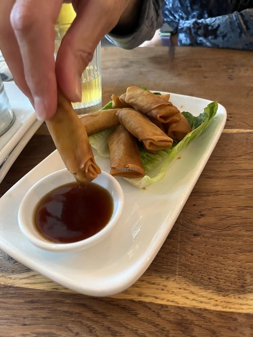 Spring rolls  at Wee Buddha in Edinburgh