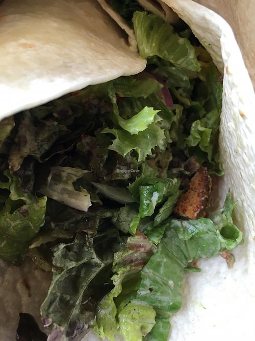 Red Blooded Vegan in Wrap at Plum Chopped in Seattle