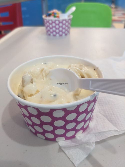 Vegan cookie dough at Brendy's Ice Cream & Yogurt - 2nd Ave in Delray Beach