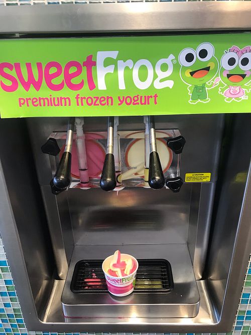 Vegan with a twist at Sweet Frog in Bangor