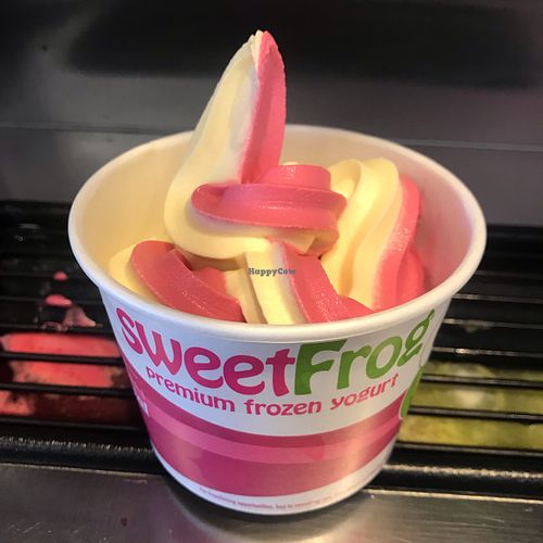 Sweet Frog Bangor Maine Ice Cream HappyCow