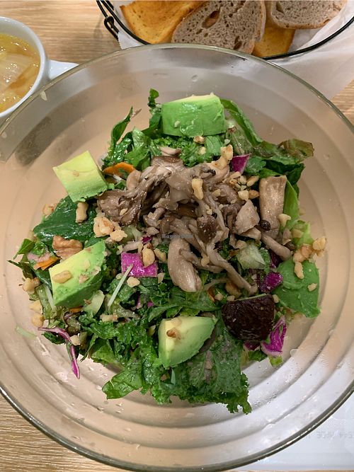 Lunch salad at Vegebal Kyushu in Fukuoka