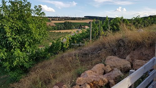 Der Ausblick von der Hotelterrasse at Weingut Trautwein - Restaurant & Hotel in Flonheim